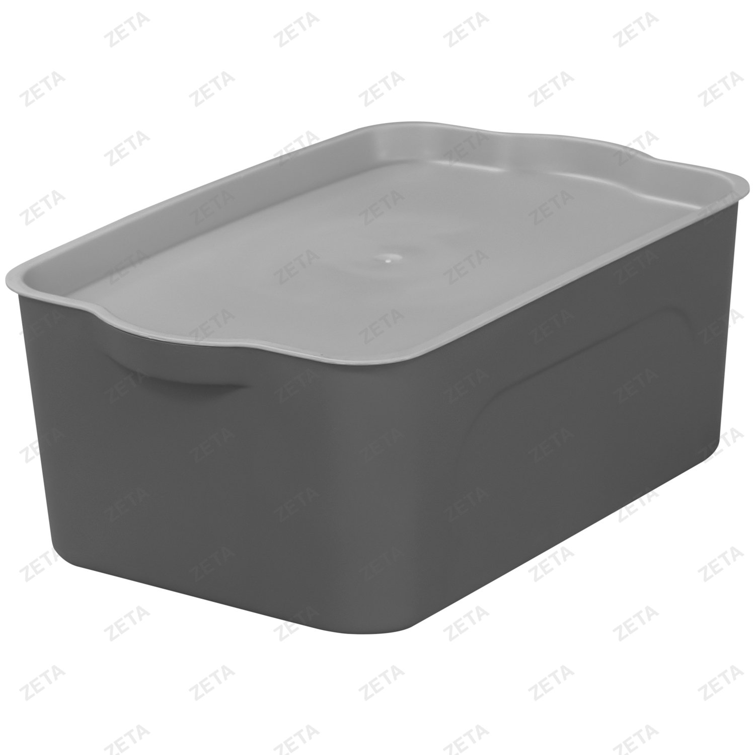 Контейнер с крышкой №SFT-N-06-S (ВИ)